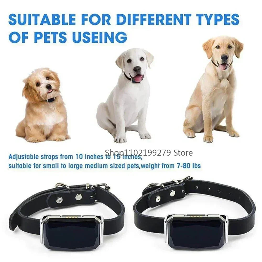 Traceur GPS Animaux G12 - Collier Anti-Perte Étanche Localisateur Intelligent